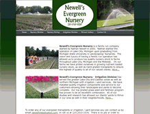 Tablet Screenshot of newellsevergreennursery.com